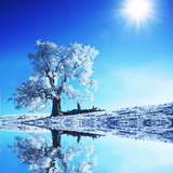 com.myapps.WinterwallpaperHDAG