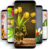 com.sincapp.tulipwallpaper