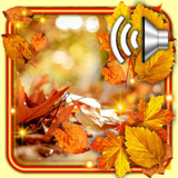 com.godsproslw.autumnfallingleaves