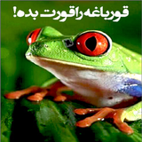 ir.Artic.GHORBAKH
