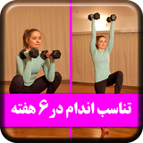 com.apphtml.Fitness.in6weeks
