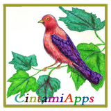 com.cintamiapps.coloredpencildrawing