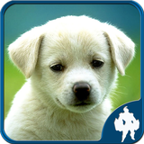 com.titan.animaljigsaw