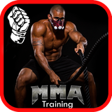 com.chelin.mmatrainingandfitness