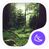 com.apusapps.theme.i_words_from_forest_bae9ef89f2