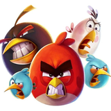 paradise.brightstar.angryBirds