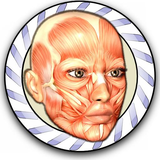 com.speedAnatomy.speedAnatomyLite