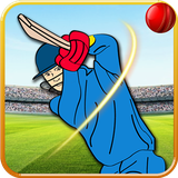 com.sagaapps.games.game.cricket