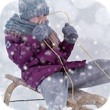 com.sfg.sledsim