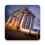 in.softecks.pipingengineeringqa