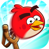 com.queen.angryBirdShooter