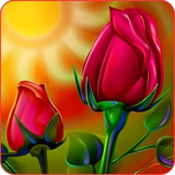 com.peacock.tnine.roseWallLGAppz