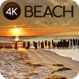 com.easy_wallpapers.beacch