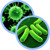 com.bacteri.shenasi