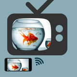 com.agile.screenmirroringtotvapp