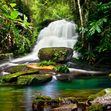 com.amaxlwps.waterfalls