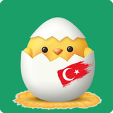 ns.com.turkishforkids