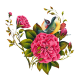 com.javad.golestan