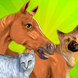 com.rv.pethotel.animal.home