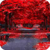 com.autumn.wallpaper.autumnbestwallpaper