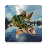 com.sms.fishing