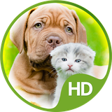 com.easy_wallpapers.sweet
