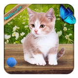 com.apusapps.livewallpaper.cutecat_db64dd12