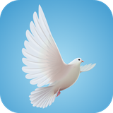 com.leafgreen.dove