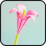 com.myorigamies.origamiflowers