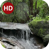ir.hmh.PeaceLiveWallpaper_11