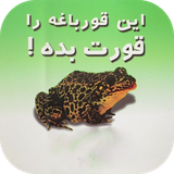 buy.delneshin.tanbali