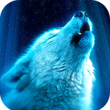 com.Wolf.wallpaper.wolfpicture.animal.wolfimage
