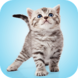 com.andromo.dev230101.app216863