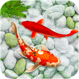 com.fish.wallpaper.koifish.fishwallpaper.livewallpaper.background