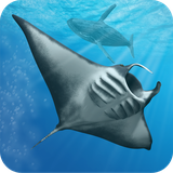com.bitbros.oceandream