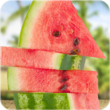 com.bigmax.watermelon.cutewatermelonwallpaper.watermelon.wallpaper.cool.offlinewallpapers.boys.girls.launcher.themes