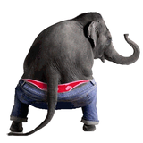 com.mobobi.dancingtalkingelephants