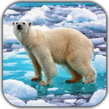 polarbear.etlwallpaper.com