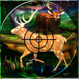 naveen.deerhuntingjunglewar