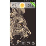 com.gau.go.launcherex.theme.dvixqn.rooiiq.advanced