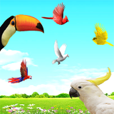 com.stem.birds.skyfree