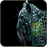 cmm.cjq20130603.lion.sun