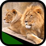 ir.tinasoft.lions
