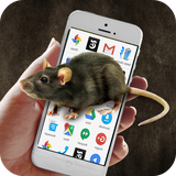 zohani.app.mush