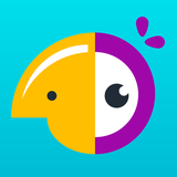 com.shopify.logomaker.hatchful