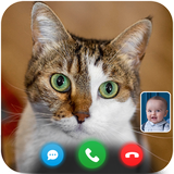 cutecatvideocallprank.fakecallvideocat2game.catcallyou
