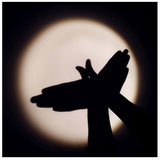 ir.rosta.shadowgame