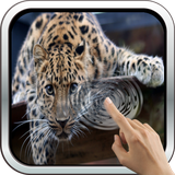 com.algar.elegantleopard