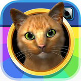 com.happygiant.instakitty3d