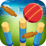 com.pwrd.cricketboy